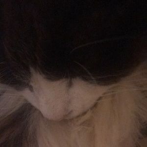 Meet your Posher, Mike